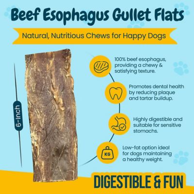 Image showing  Flat Beef Gullet Dog Dental Treats, 6 in., 50 ct.