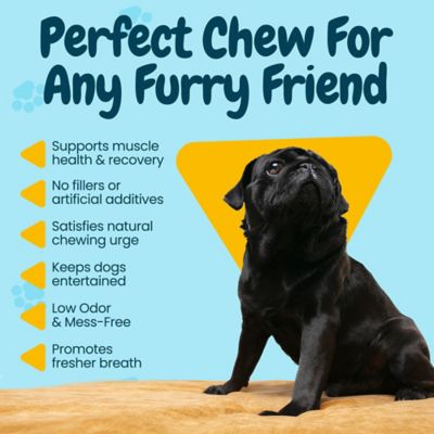 Image showing  Beef Gullet Sticks Dog Dental Treats, 6 in., 50 ct.