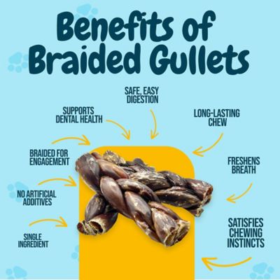 Image showing  Braided Beef Gullet Twist Dog Chew Treats, 6 in., 6 ct.