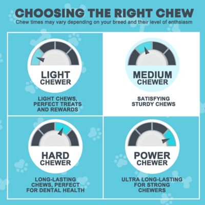 Image showing  8 in. Natural White Rawhide Roll Dog Chew Treats, 6 ct.