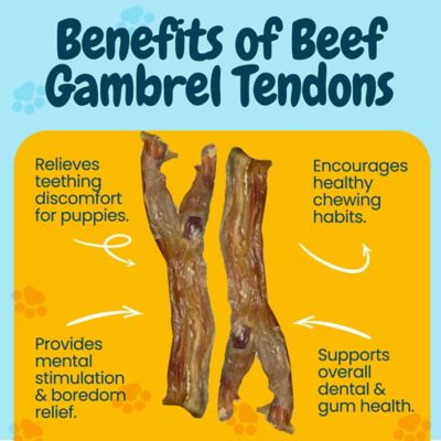 Image showing  7-8 in. All-Natural Beef Gambrel Natural Tendon Dog Chew Treats, 12 ct.