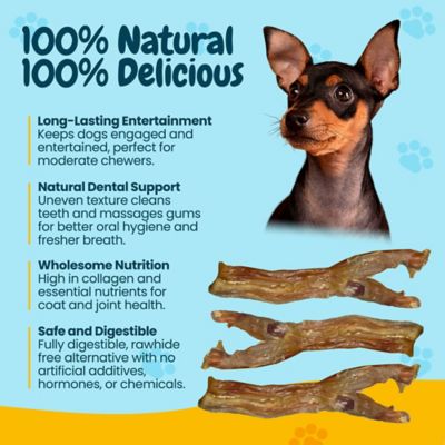 Image showing 5 th Hotspot Pets 7-8 in. All-Natural Beef Gambrel Natural Tendon Dog Chew Treats, 12 ct.