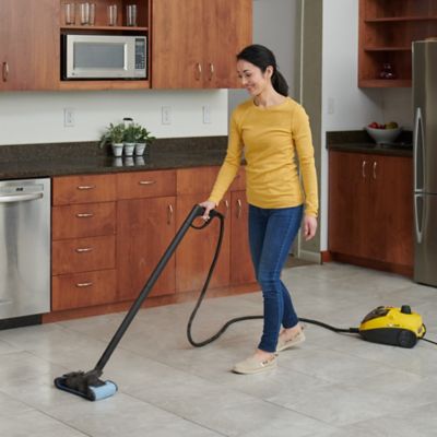 Image showing  915e On-Demand Steam Cleaner