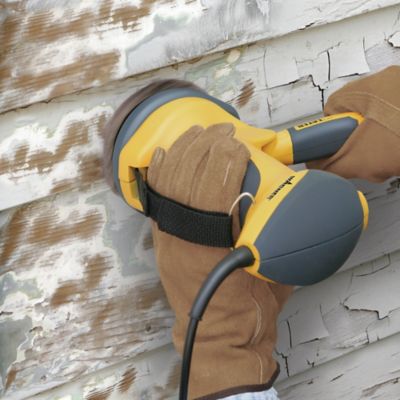 Image showing  6 in. PaintEater Replacement Disc