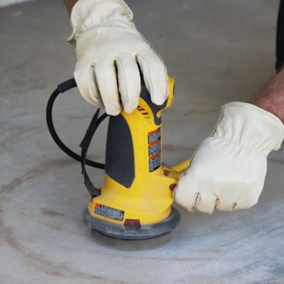 Image showing  6 in. PaintEater Replacement Disc