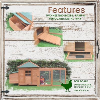 Image showing  Outdoor Elevated Wooden Chicken Coop with Ramp, Nesting Box, Run and Waterproof Roof, 1 to 2 Chicken Capacity