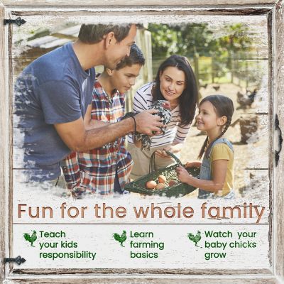 Image showing  Outdoor Elevated Wooden Chicken Coop with Ramp, Nesting Box, Run and Waterproof Roof, 3 Chicken Capacity