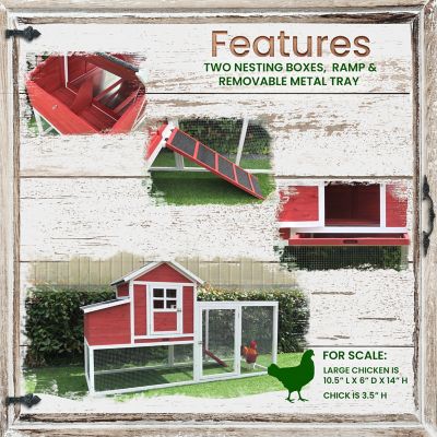 Image showing  Outdoor Elevated Wooden Chicken Coop with Ramp, Nesting Box, Run and Waterproof Roof, 3 Chicken Capacity