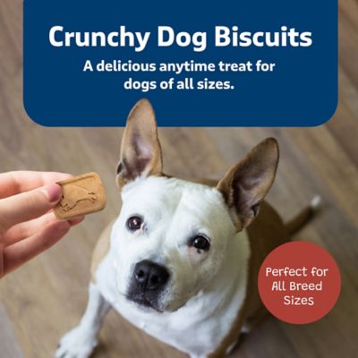 Image showing  Health Bars Bacon, Egg and Cheese Biscuits Crunchy Dog Treats, 3.5 lb.