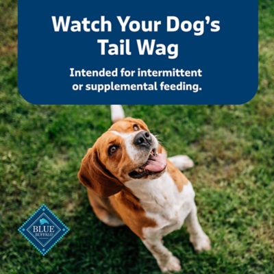 Image showing 7 th Blue Buffalo Health Bars Apples and Yogurt Biscuits Crunchy Dog Treats, 3.5 lb.