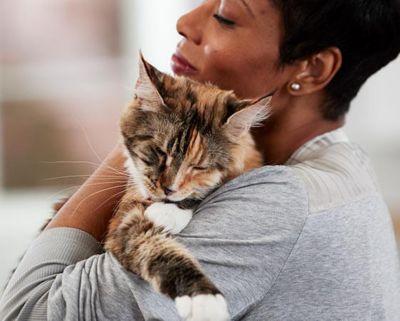 Image showing  Turkey and Chicken Pate Wet Cat Food, 5.5 oz.