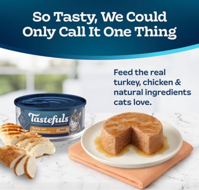 Image showing  Turkey and Chicken Pate Wet Cat Food, 5.5 oz.