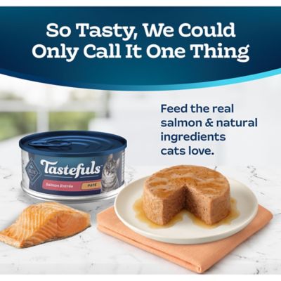 Image showing  Adult Natural Salmon Entree Pate Wet Cat Food, 5.5 oz.