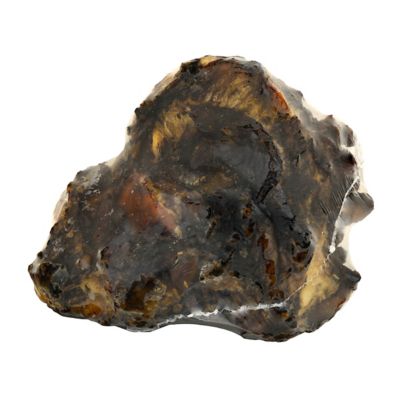 Image showing  Beef Crown Knuckle Dog Chew Treat