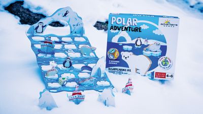 Image showing  Polar Adventure Game
