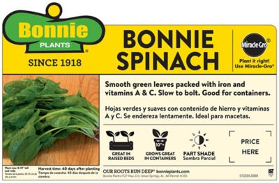 Image showing  Bonnie's Spinach 19.3 oz.