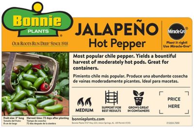 Image showing  2.5 gal. Potted Jalapeno Hot Pepper Vegetable Plant with Cage, Live Plant