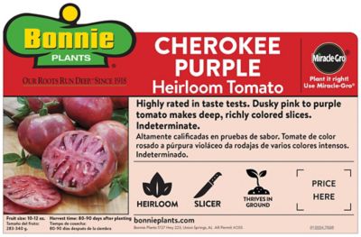 Image showing  Cherokee Purple Heirloom Tomato 2.5 gal. Cage, Live Plant