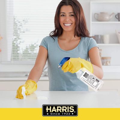 Image showing  32 oz. Chemically Resistant Pro Sprayer