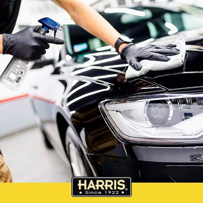 Image showing  32 oz. Chemically Resistant Pro Sprayer