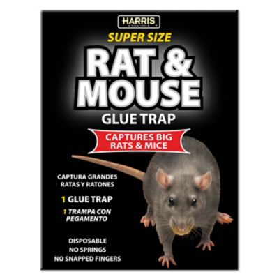 Harris Super Size Rat and Mouse Glue Trap, 0.55 lb., 5.4 in. x 9 in. x 11.8 in.