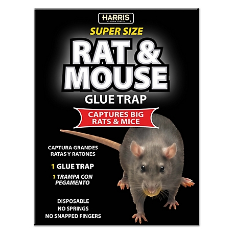 Mouse Traps, Mouse Traps Indoor, Mouse Traps Indoor for Home, Glue Traps  for Mice and Rats, Trampas para Ratones, Mouse Glue Traps Indoor for Home,  6