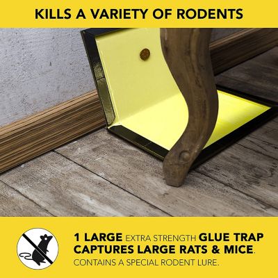 Image showing  Super Size Rat and Mouse Glue Trap, 0.55 lb., 5.4 in. x 9 in. x 11.8 in.