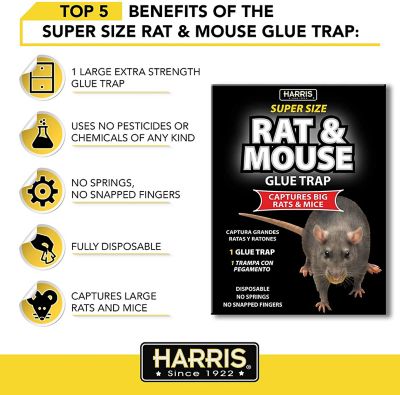 Image showing  Super Size Rat and Mouse Glue Trap, 0.55 lb., 5.4 in. x 9 in. x 11.8 in.