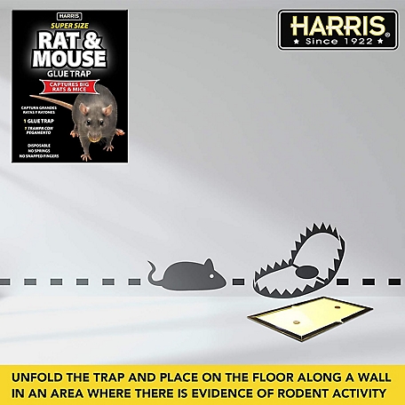 Qualirey Sticky 47 Inch Ultra Large Mouse Trap Mouse Glue Traps Sticky Rat  Trap That Work for Trapping Rats Roaches Rodents Heavy Duty Pre Baited Mats