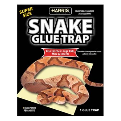 Harris Super-Size Snake Glue Trap, 0.5 lb., 11.8 in. x 11 in. x 8.7 in., 15 in. x 10 in. Surface Area