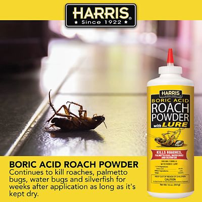 Image showing  453g Boric Acid Roach Powder