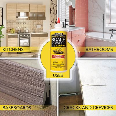 Image showing  453g Boric Acid Roach Powder