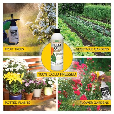 Image showing  12 oz. Neem Oil Concentrate Spray for Plants, 100% Cold Pressed