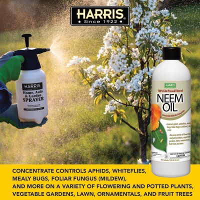 Image showing  12 oz. Neem Oil Concentrate Spray for Plants, 100% Cold Pressed
