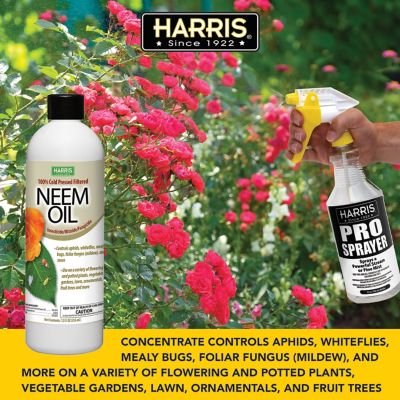 Image showing 7 th Harris 12 oz. Neem Oil Concentrate Spray for Plants, 100% Cold Pressed