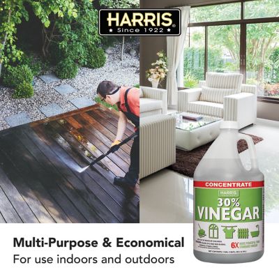 Image showing 6 th Harris 1 gal. 30% Vinegar Cleaner Concentrate