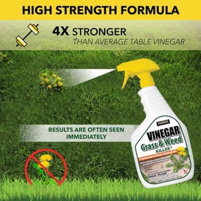 Image showing  32 oz. 1,450-2,900 sq. ft. Vinegar Weed and Grass Killer