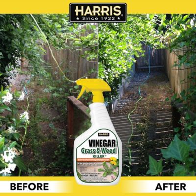 Image showing  32 oz. 1,450-2,900 sq. ft. Vinegar Weed and Grass Killer