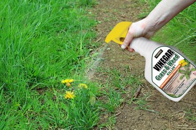 Image showing  32 oz. 1,450-2,900 sq. ft. Vinegar Weed and Grass Killer