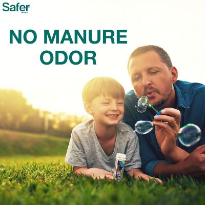 Image showing 8 th Safer Brand 20 lb. 5,000 sq. ft. Lawn Restore Fertilizer