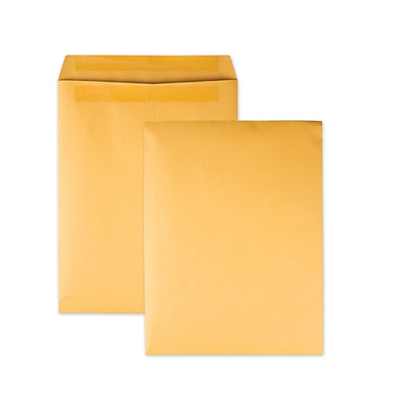 Quality Park Redi-Seal Catalog Envelopes, Cheese Blade Flap, 10 in. x 13 in., Brown Kraft, 250 pk.