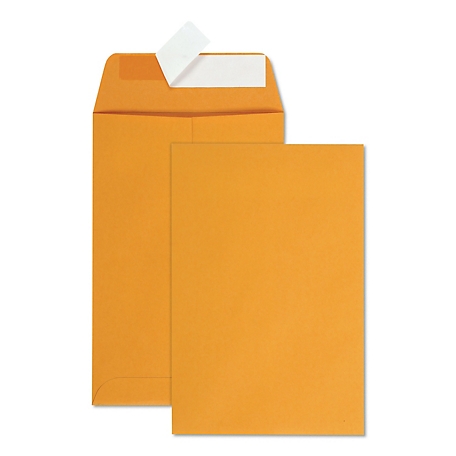 Quality Park Redi-Strip Catalog Envelopes, Cheese Blade Flap, 6 in. x 9 in.