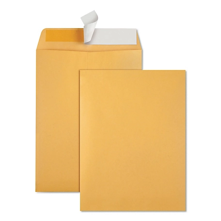 Quality Park Redi-Strip Catalog Envelopes, Cheese Blade Flap, 9 in. x 12 in.