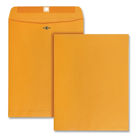 Quality Park Clasp Envelopes, Cheese Blade Flap, Clasp/Gummed Closure, Brown Kraft, 10 in. x 13 in.