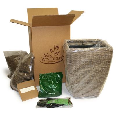 Image showing 3 th Van Zyverden Sun Garden Patio Plant Kit with Decorative Rattan Planter and Planting Medium, 3 Roots