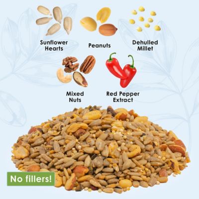 Image showing  No Waste Spicy Hot Premium Wild Bird Food