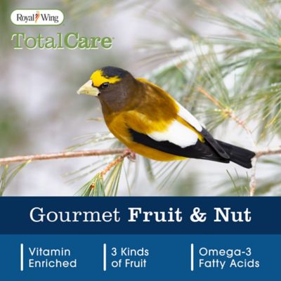 Image showing  Gourmet Nut and Fruit Blend Wild Bird Food