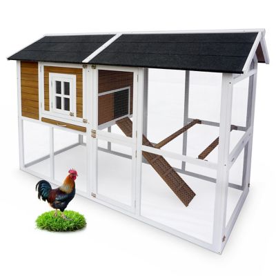 Zoovilla Farmsted Chicken Coop, 8 Chicken Capacity