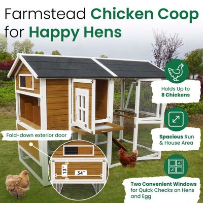 Image showing  Farmstead Chicken Coop, 8 Chicken Capacity