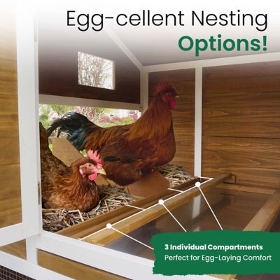 Image showing  Farmstead Chicken Coop, 8 Chicken Capacity